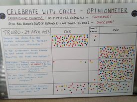 Celebrate with cake Opinionmeter in Truro 29.4.23